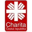 415802log1charita1bgif-7441.jpg