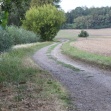 img9148-7736.JPG