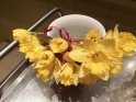 thmb-img20190308141706-8175.jpg