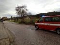 thmb-sabina04-8703.jpg