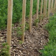 img0110-9080.JPG
