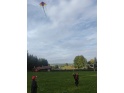 thmb-13-10268.jpg