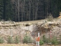 thmb-417-1025.jpg