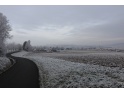 thmb-img7436-10954.JPG