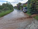thmb-img-20250531-wa0007-11132.jpg