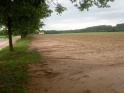 thmb-img202506060744583-11127.jpg