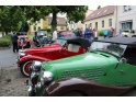 thmb-img8286-11177.JPG
