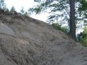 thmb-612-1191.JPG