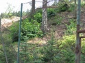thmb-625-1203.JPG