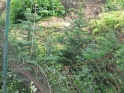 thmb-627-1204.JPG