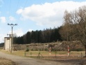 thmb-698-1272.jpg