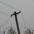 915-1465.jpg