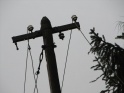 thmb-925-1472.jpg