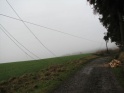 thmb-928-1475.jpg