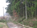 thmb-929-1476.jpg