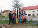 thmb-valentovi-a-petrovi-rodinna-seslost-pod-lipou-1580.jpg