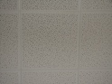 thmb-1162-1691.jpg