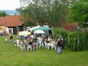 thmb-obcerstveni-zajistila-restaurace-radnice-1707.jpg