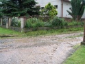 thmb-1220-1746.jpg