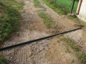 thmb-1937-2412.JPG