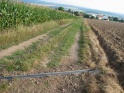 thmb-1939-2414.JPG