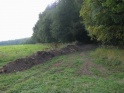 thmb-1944-2417.JPG