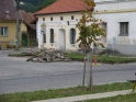 thmb-1954-2426.JPG
