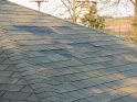thmb-2354-2803.JPG
