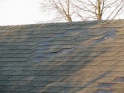 thmb-2356-2804.JPG