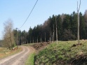 thmb-2369-2817.JPG