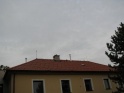 thmb-2639-2931.JPG