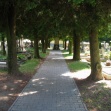 3109-3387.JPG