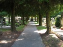 thmb-3109-3387.JPG