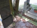 thmb-3113-3391.JPG