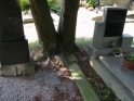 thmb-3114-3392.JPG