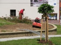 thmb-3175-3450.JPG