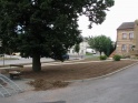 thmb-3177-3452.JPG