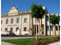 thmb-3306-3576.JPG