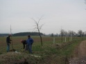 thmb-3431-3700.JPG