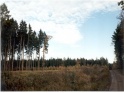 thmb-toulky-jarni-prirodou-533.jpg