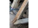 thmb-3687-3936.JPG