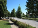 thmb-img0594-4618.JPG