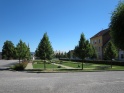 thmb-img0596-4620.JPG