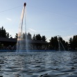 img2991-5911.JPG
