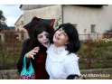 thmb-img3337-7284.JPG